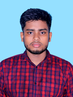 Md Ariful islam 